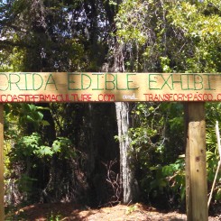 Florida Natural Edibles
